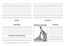 Giraffe-Faltbuch-vierseitig-5.pdf